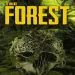 The forest mobile